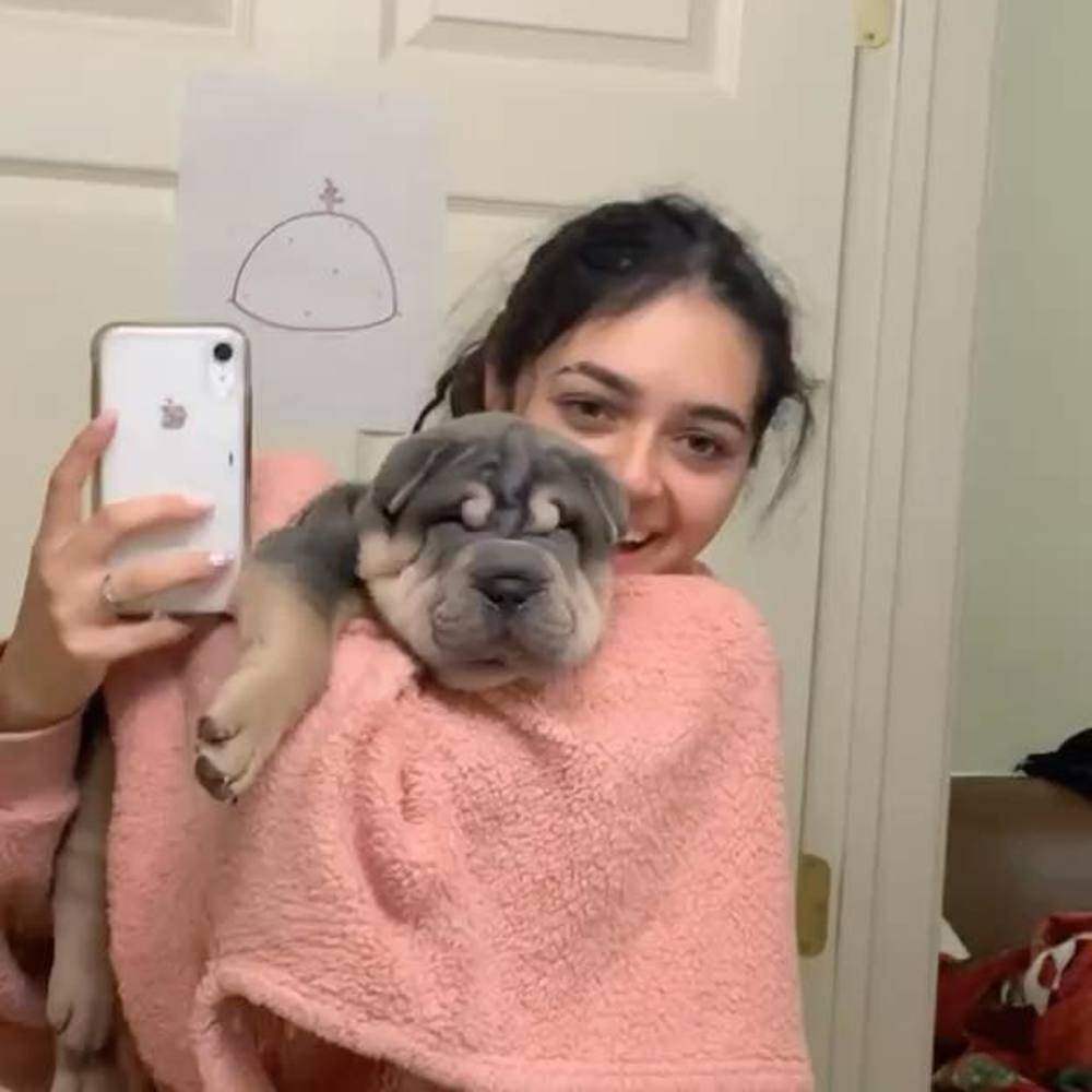 Meet your Posher, Keixa